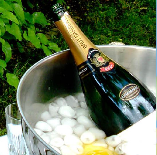 Kübel mit Champagner